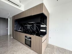 Irwell Hill Residences (D9), Apartment #577690781